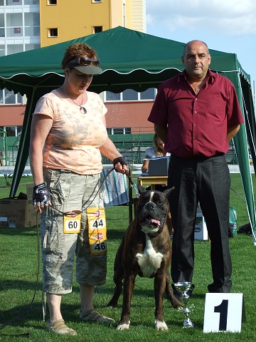 www.boxerklub.sk