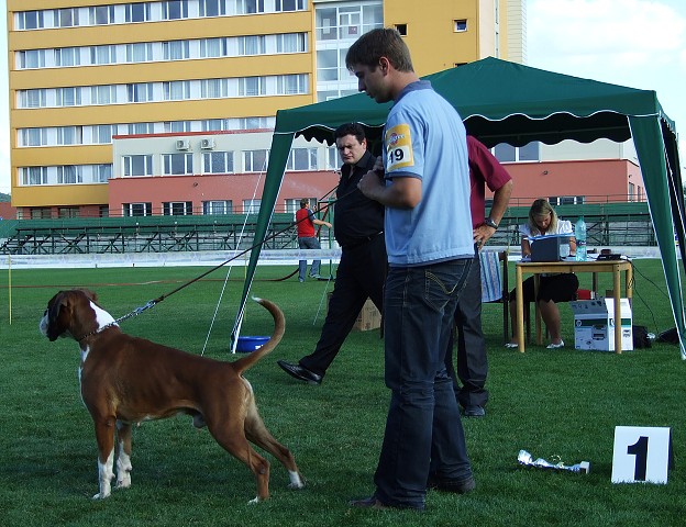 www.boxerklub.sk