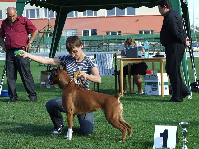 www.boxerklub.sk