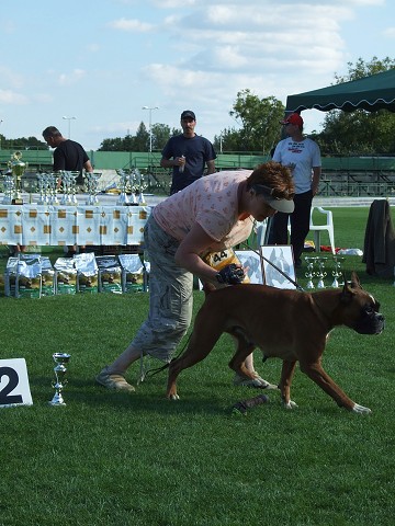 www.boxerklub.sk