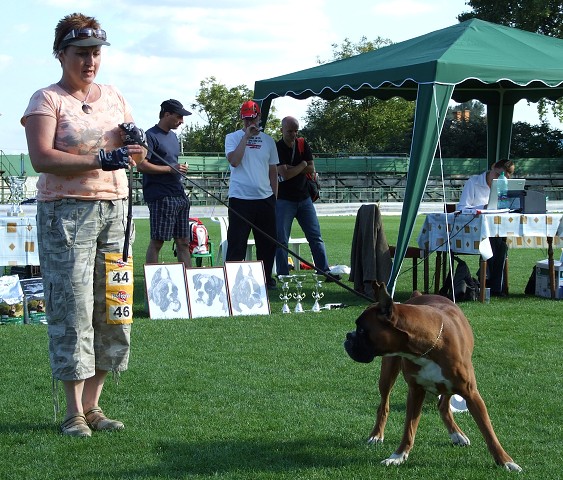 www.boxerklub.sk