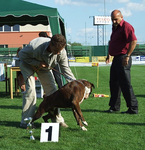 www.boxerklub.sk