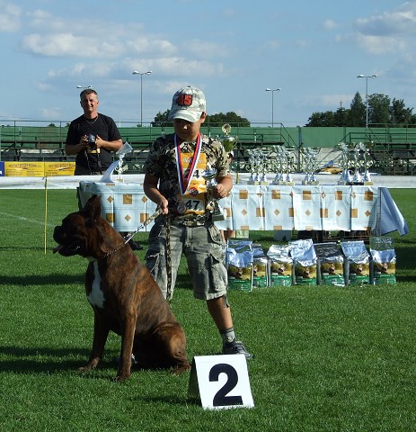 www.boxerklub.sk