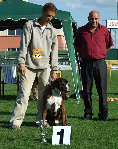 www.boxerklub.sk