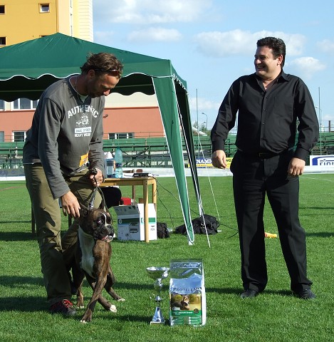 www.boxerklub.sk