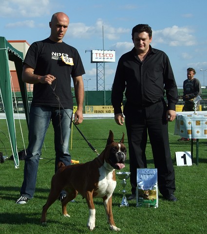 www.boxerklub.sk