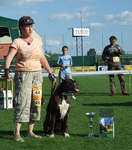www.boxerklub.sk