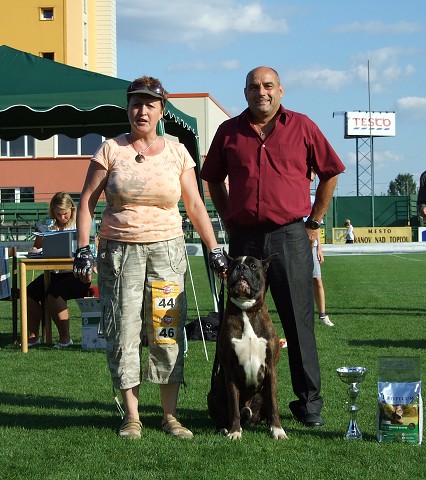 www.boxerklub.sk