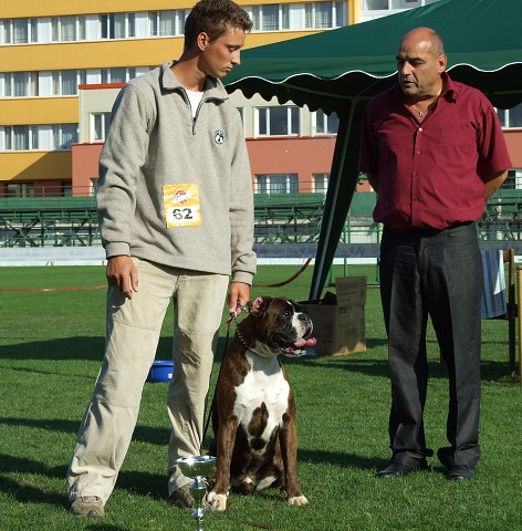 www.boxerklub.sk