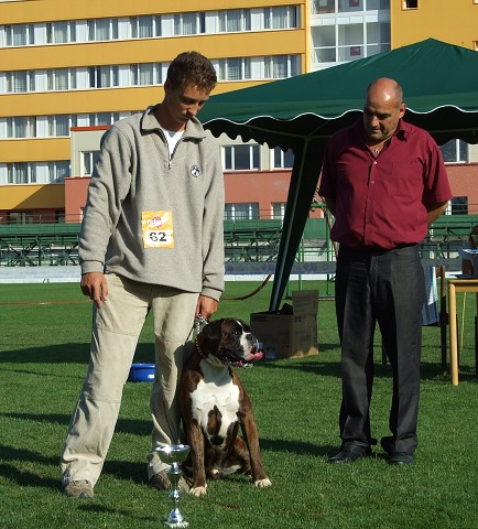 www.boxerklub.sk