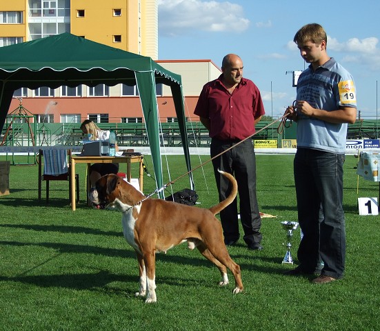 www.boxerklub.sk