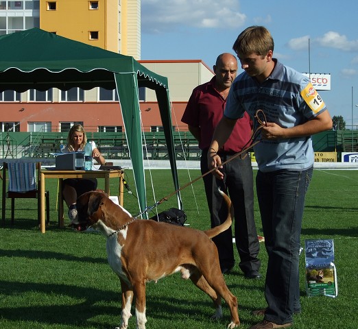 www.boxerklub.sk