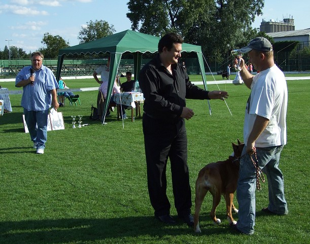 www.boxerklub.sk