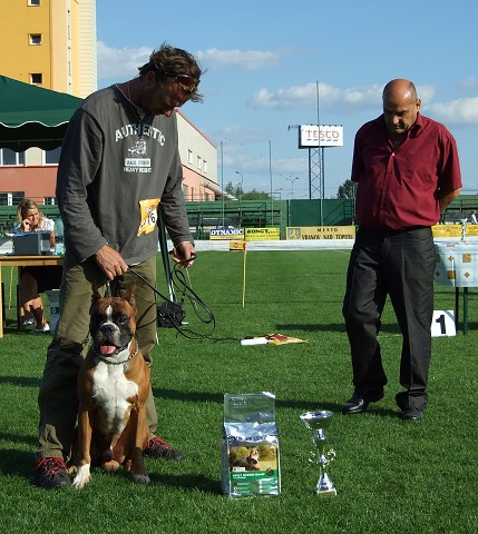 www.boxerklub.sk