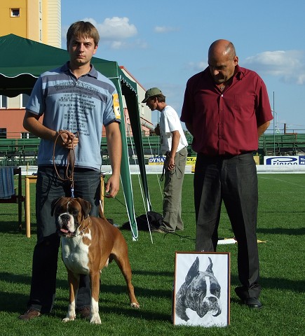 www.boxerklub.sk