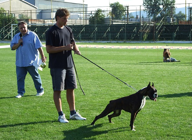 www.boxerklub.sk