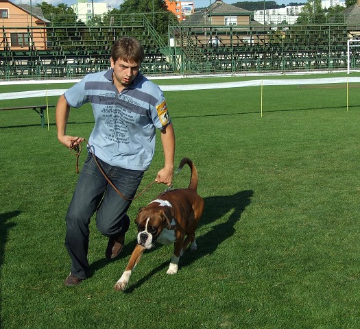 www.boxerklub.sk