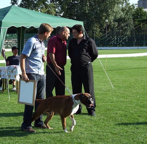 www.boxerklub.sk