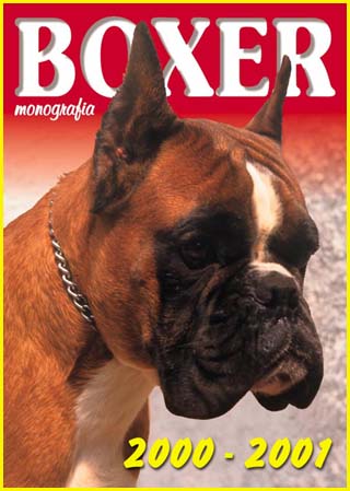Boxer Monografia