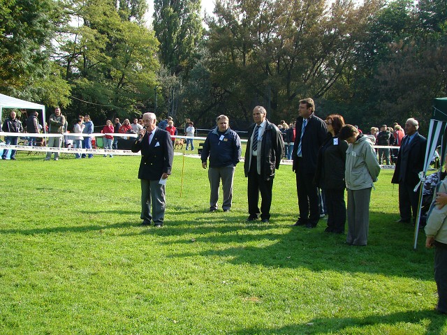 www.boxer-show.eu