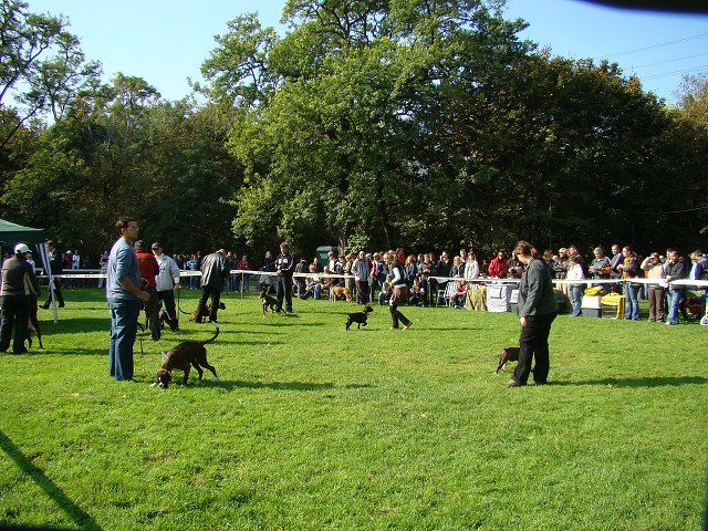 www.boxer-show.eu