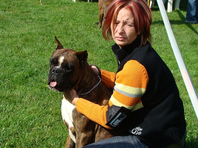 www.boxer-show.eu