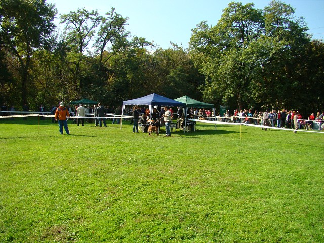 www.boxer-show.eu