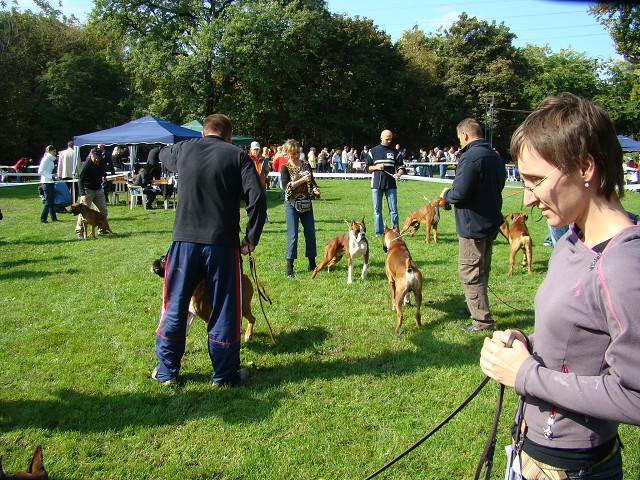 www.boxer-show.eu