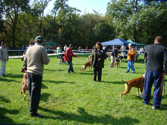 www.boxer-show.eu