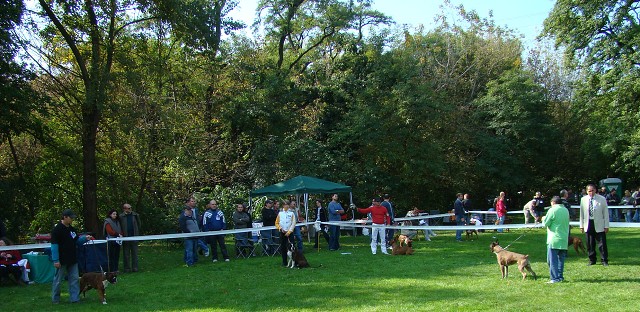 www.boxer-show.eu