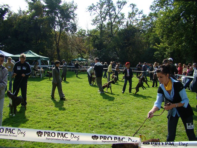 www.boxer-show.eu