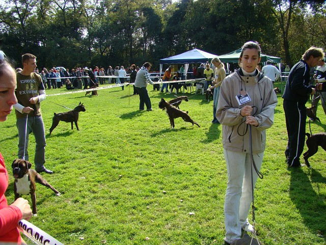 www.boxer-show.eu