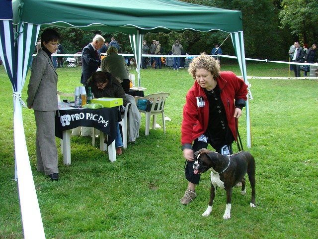 www.boxer-show.eu