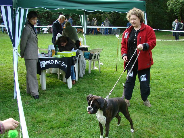 www.boxer-show.eu