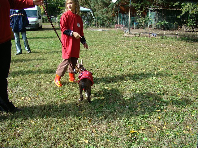www.boxer-show.eu