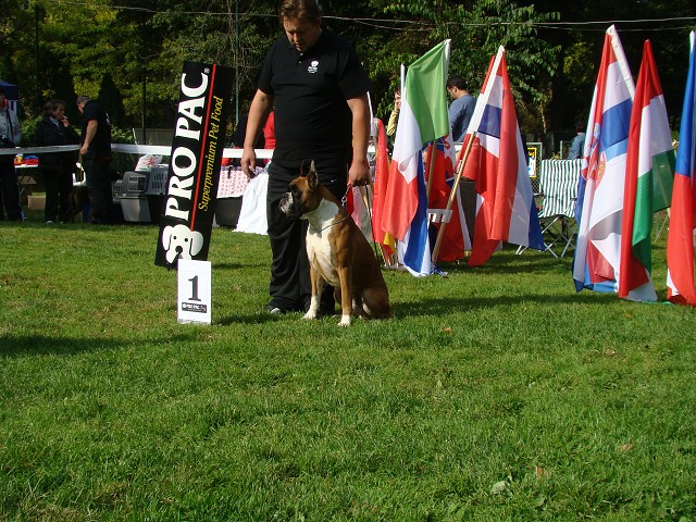 www.boxer-show.eu