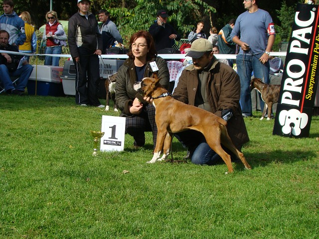 www.boxer-show.eu