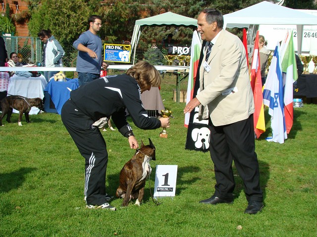 www.boxer-show.eu