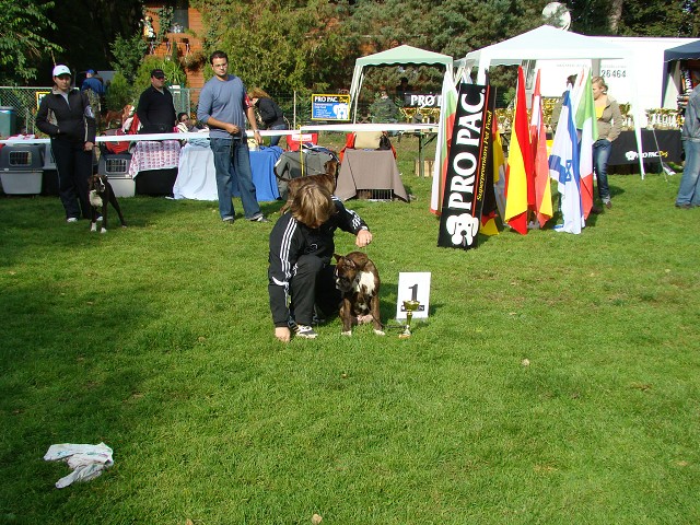 www.boxer-show.eu