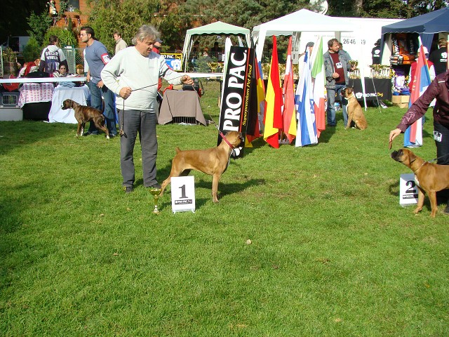 www.boxer-show.eu