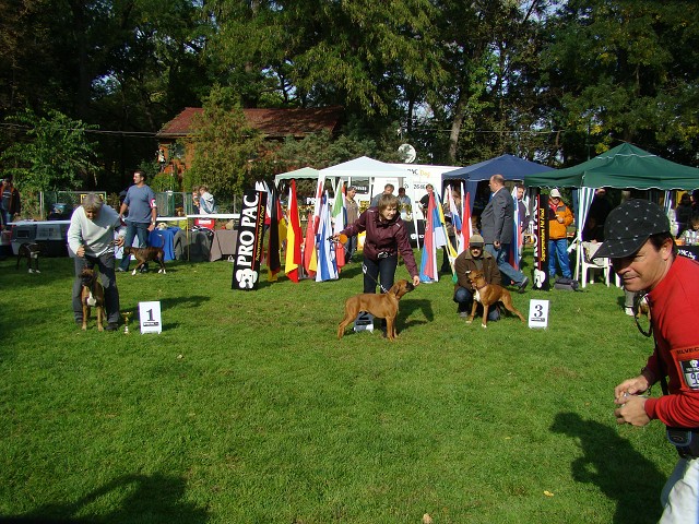 www.boxer-show.eu