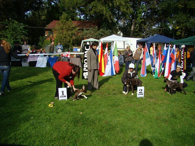 www.boxer-show.eu