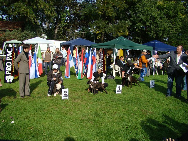 www.boxer-show.eu
