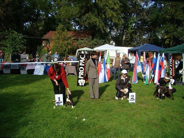 www.boxer-show.eu