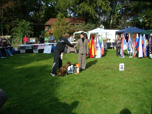 www.boxer-show.eu