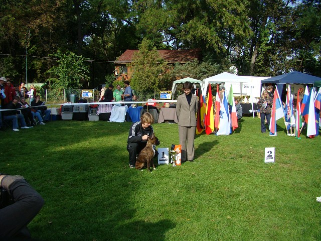 www.boxer-show.eu