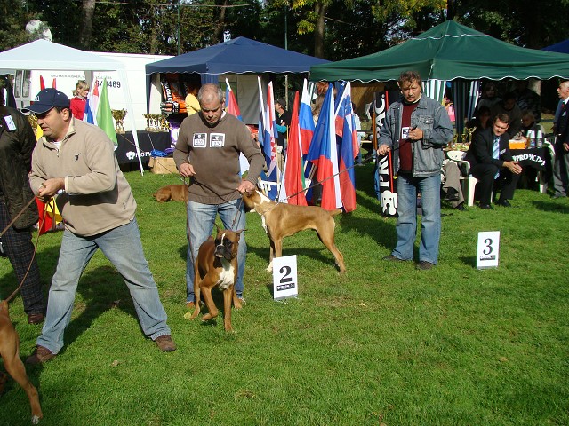 www.boxer-show.eu