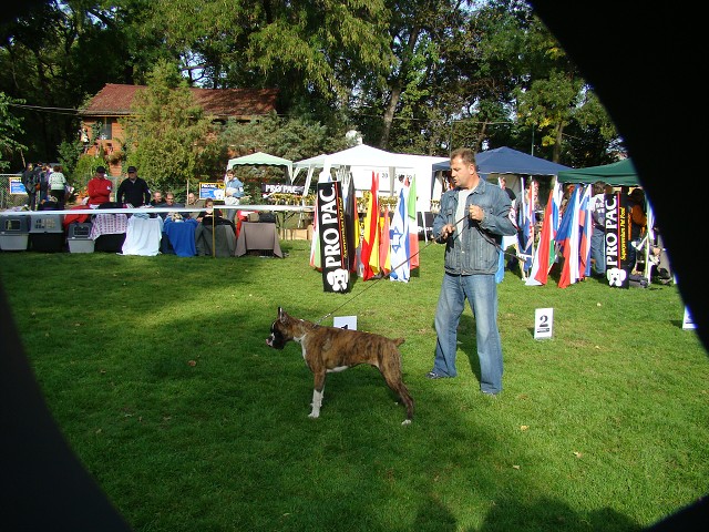 www.boxer-show.eu