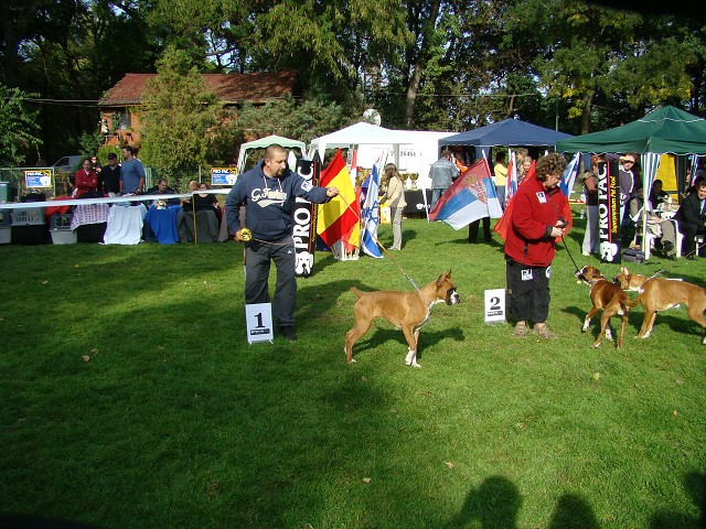 www.boxer-show.eu