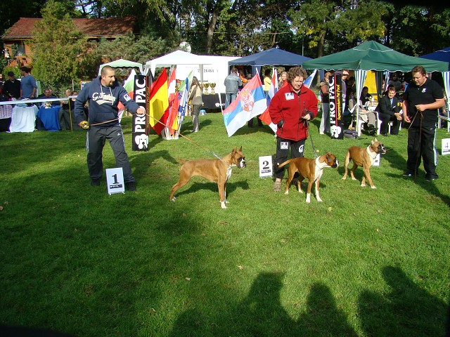 www.boxer-show.eu
